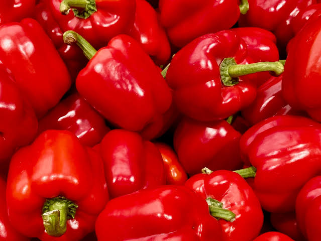 whatsapp image 2026 02 20 at 12.09.52 pm