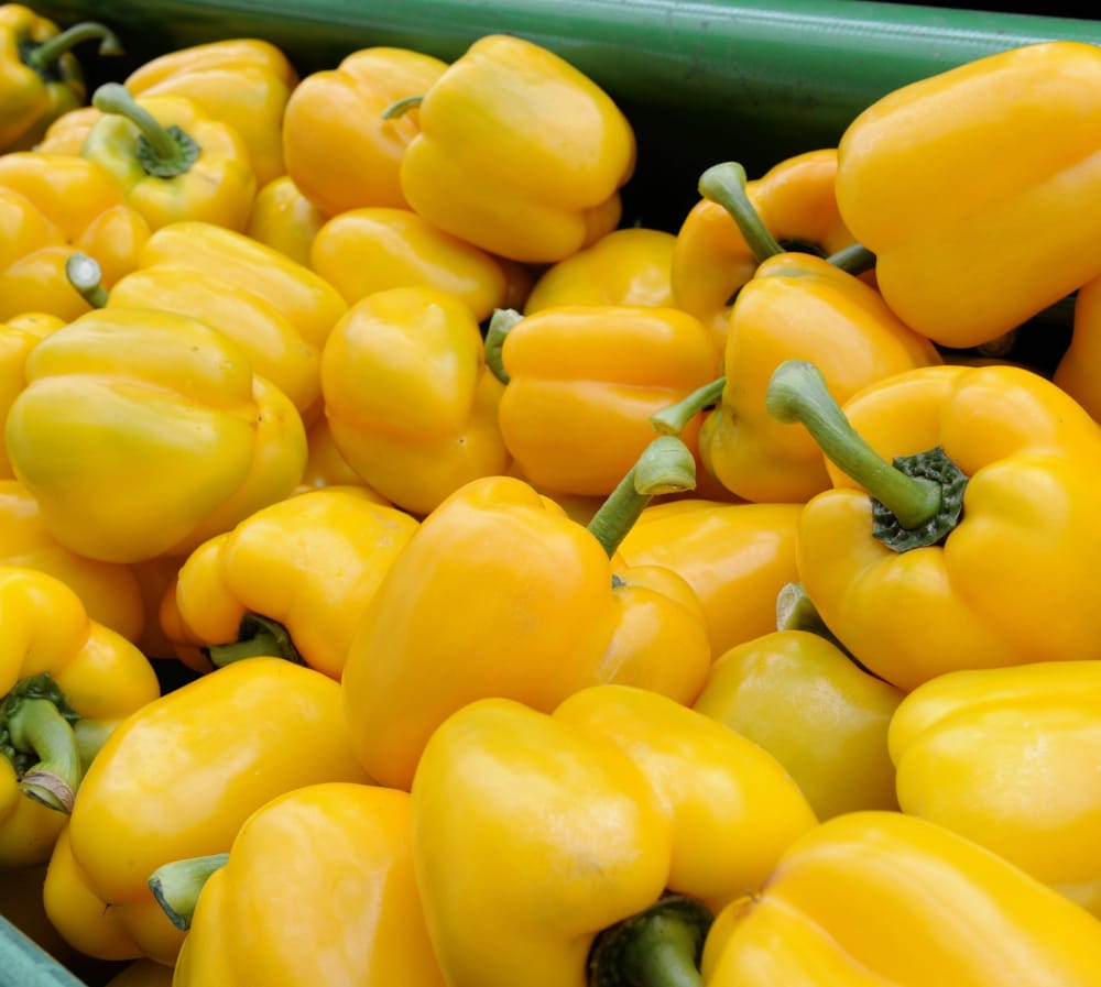 whatsapp image 2026 02 20 at 12.18.50 pm (1)